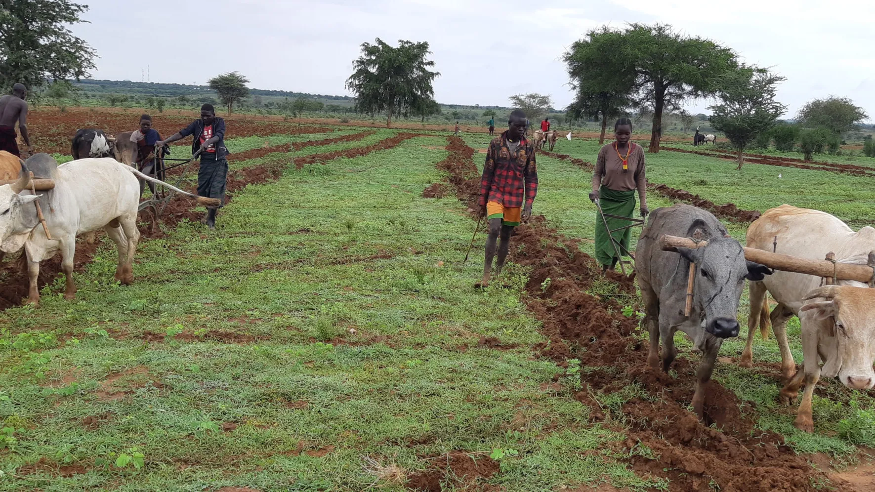 Empowering communities through local capacity development